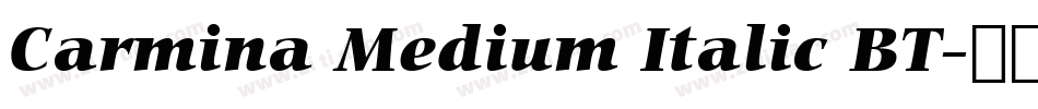 Carmina Medium Italic BT字体转换